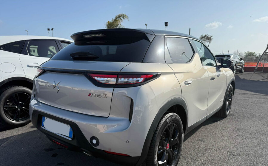 ds-ds3 (10)