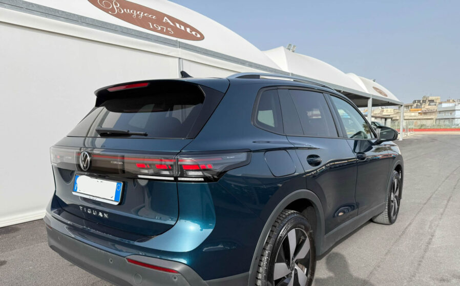 tiguan (1)