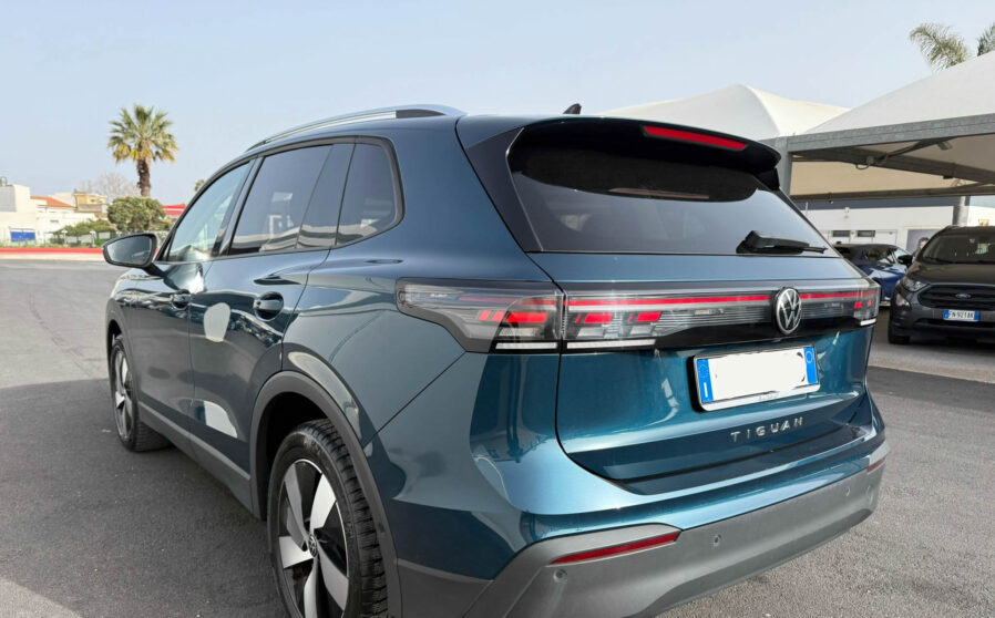 tiguan (4)
