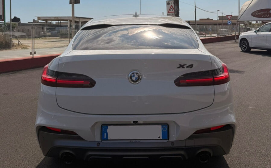 x4 (11)