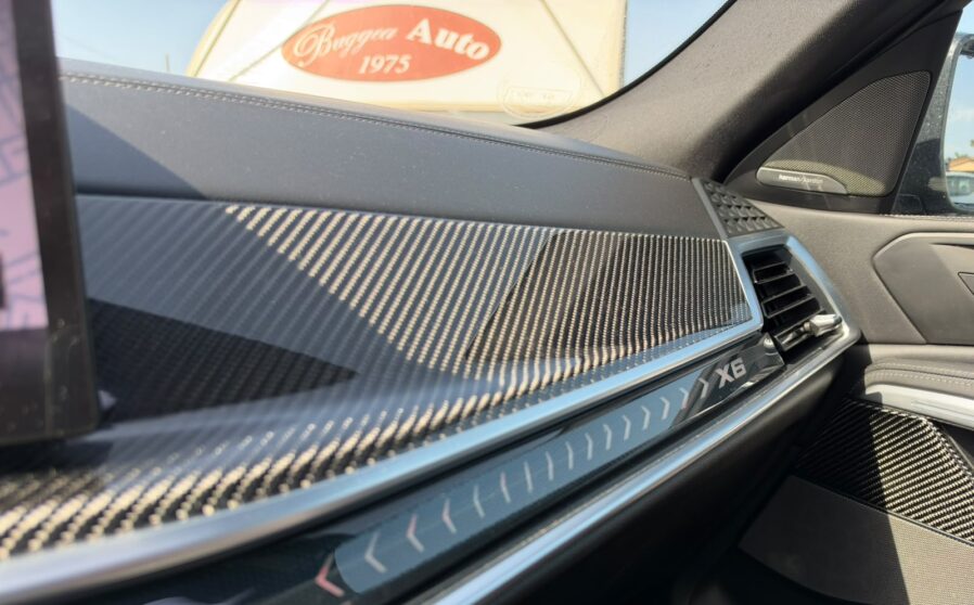 bmwx6 (16)