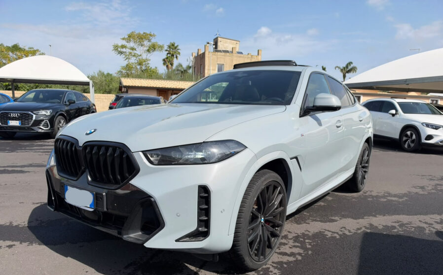 bmwx6 (6)