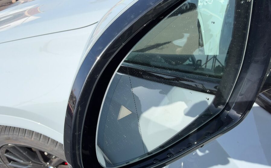 bmwx6 (9)